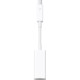 Apple Thunderbolt to Gigabit Ethernet Adapter (MD463)
