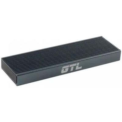GTL M.2 Frozen Black (GTLM2FRBK)