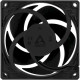 Arctic P8 Black (ACFAN00147A)
