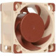 Noctua NF-A4x20 PWM