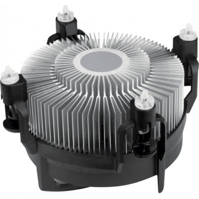 Arctic Alpine 17 (ACALP00040A)