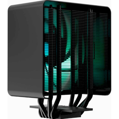 APNX AP1 Black (APTC-PF30517.11)