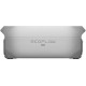 EcoFlow DELTA 3 Extra Battery