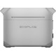 EcoFlow DELTA 3 Plus CN/AU (EF-DL-H10-4)