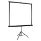 Elite Screens T85UWS1