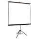 Elite Screens T85UWS1