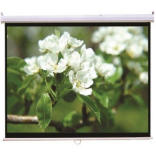 Logan PRM5 (300х220)