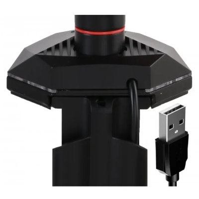 Iiyama DSG3001C-R1