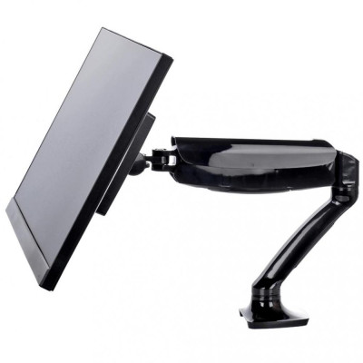 Iiyama DS3001C-B1