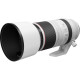 Canon RF 100-500mm f/4,5-7,1 L IS USM (4112C005)