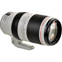 Canon EF 100-400mm f/4,5-5,6L II IS USM