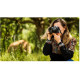 Canon RF 85mm f/2 Macro IS STM (4234C005)