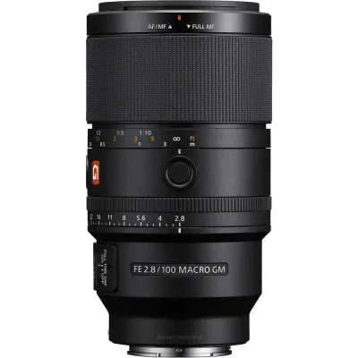 Sony 100mm f/2.8 Macro GM NEX FF (SEL100M28GM.SYX)