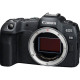 CANON EOS R8 + 24-105mm f/4-7.1 IS STM (5803C093)
