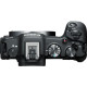 CANON EOS R8 + 24-105mm f/4-7.1 IS STM (5803C093)