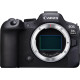 Canon EOS R6 Mark II Body (5666C031)