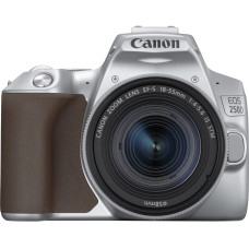 Canon EOS 250D kit (18-55mm) EF-S IS STM Silver (3461C003)
