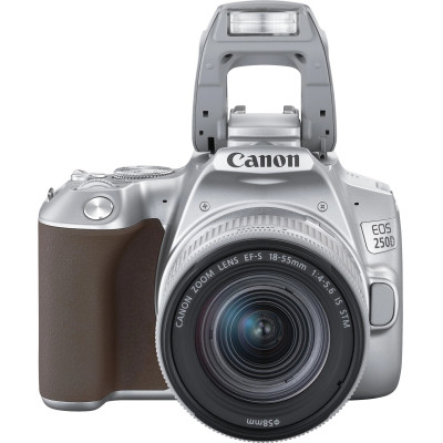 Canon EOS 250D kit (18-55mm) EF-S IS STM Silver (3461C003)