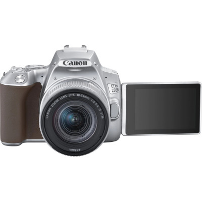 Canon EOS 250D kit (18-55mm) EF-S IS STM Silver (3461C003)