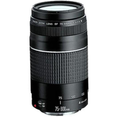 Canon EOS 2000D kit (18-55 + 75-300) (2728C021)