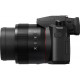 Panasonic Lumix DMC-FZ1000 II (DC-FZ10002EE)