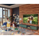 Samsung QE50Q65A