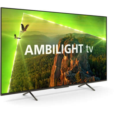 PHILIPS 55PUS8118/12