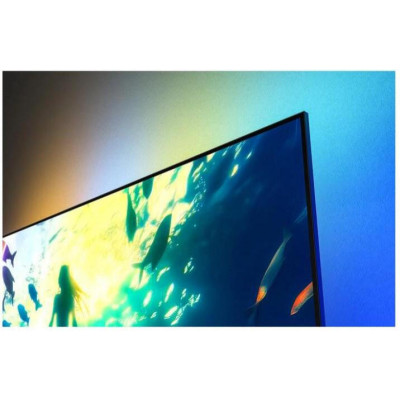 PHILIPS 55PUS8010/12