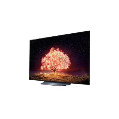 LG OLED55B1