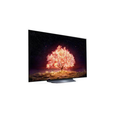 LG OLED55B1