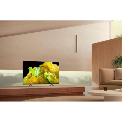 Sony XR-55X90S