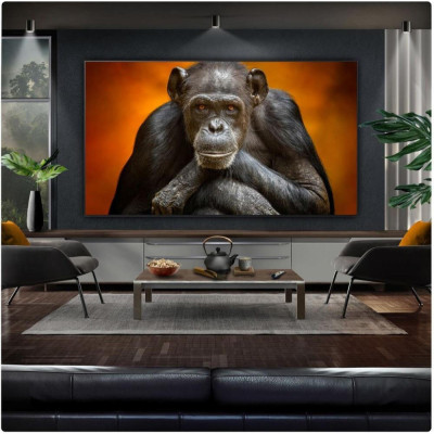 LG OLED97G54LW