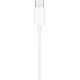 Apple EarPods with USB-C White (MYQY3)