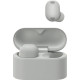 Sony WF-1000XM6 Platinum Silver (WF1000XM6S.CE7)