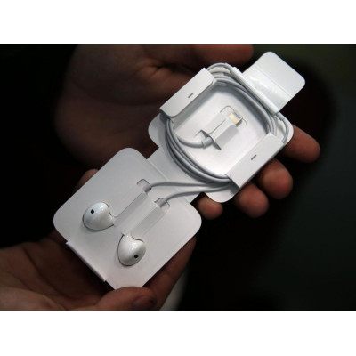 Apple EarPods with Lightning (MWTY3)