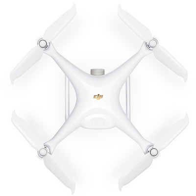DJI Phantom 4 Pro+ V2.0 (CP.PT.00000232.03) (CP.PT.00000232.01)