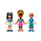 LEGO Friends Рынок уличной еды (41701)