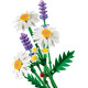 LEGO Botanicals Ромашки (11508)