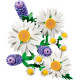 LEGO Botanicals Ромашки (11508)