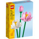 LEGO Квіти Лотоса (40647)