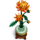 LEGO Botanicals (10368)