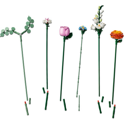 LEGO Botanicals (10342)