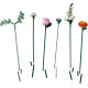 LEGO Botanicals (10342)