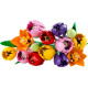 LEGO Botanicals (11501)