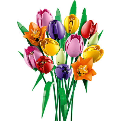 LEGO Botanicals (11501)