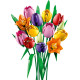 LEGO Botanicals (11501)
