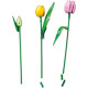 LEGO Botanicals (11501)