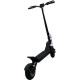 Atlas Frog Black