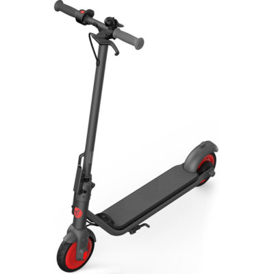 Ninebot eKickScooter ZING C20 Black (AA.00.0011.54)