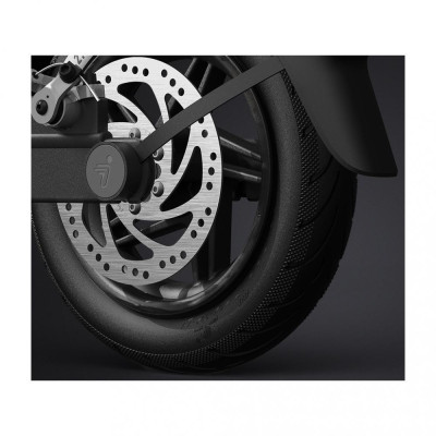 Ninebot by Segway F30E (AA.00.0010.79)